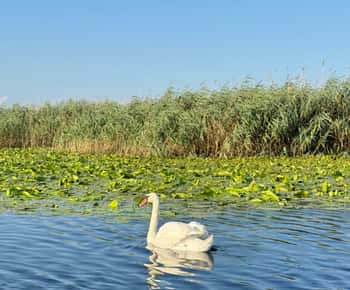 Boat Tour to the Black Sea, Sfântu Gheorghe (8-9 Hours)