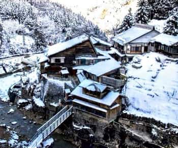 From Tokyo: Nagano Snow Monkey Park Tour With English Driver