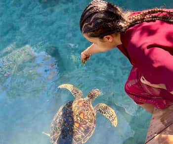 Zanzibar : nage avec les tortues marines à Kizimkazi et visite de la grotte de Salaam