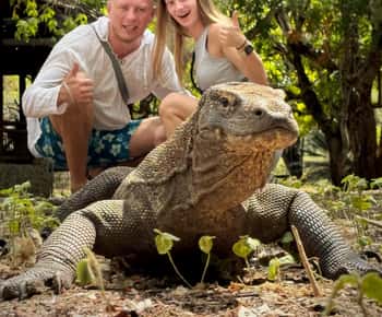 Labuan Bajo: Komodo and Pink Beach 2-Day Shared Boat Tour