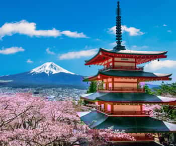 Vanuit Tokio: Privétour van een dag naar de berg Fuji, die je zelf kunt samenstellen
