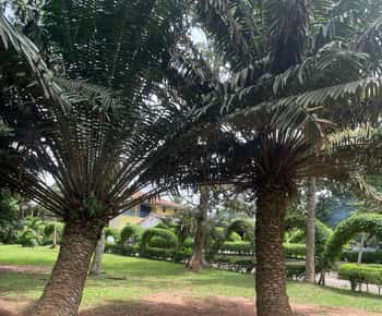 Ghana: 3 Days Sightseeing