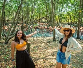 Isla Barú: Beach Club Access and Tour of the National Aviary