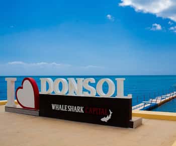 Whale Shark Interaction at Donsol Sorsogon by ZCHEDULISTA