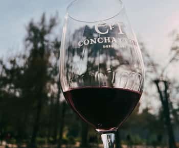 Santiago: Concha y Toro com transfer, degustação e copo de oferta