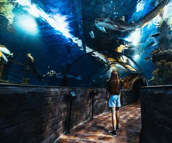 Malta National Aquarium Entry Ticket