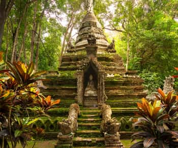 Chiang Mai: Doi Suthep Temple & Sticky Waterfall Trip