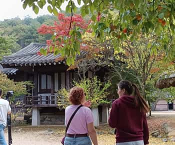 Gyeongbuk Tagestour: Omija Ssamjang Herstellung & Mungyeong Trek