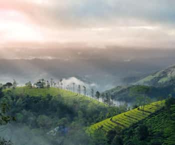 Munnar Natural Walk, Letchmi Hills Trek Same Day Tour