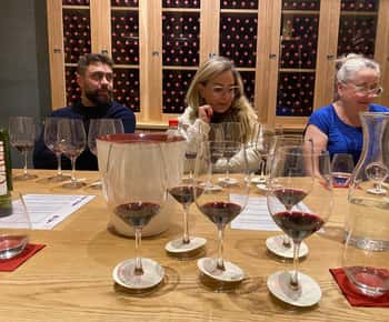 Wine Tour Viña Vik e Experiência Holística