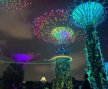 Singapore: Nocturnal Wonders Tour with Cruise and Light Show