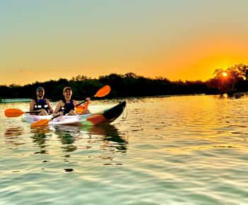 Holbox: Zonsopgang & Mangrove kajaktocht