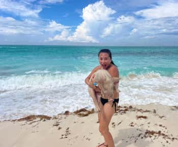 Snorkeling and Beach Tour with Sea Turtles