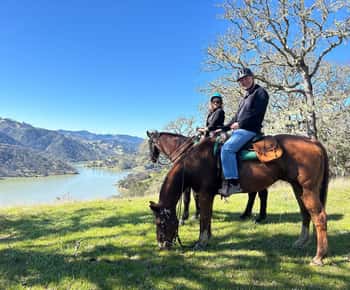 Sonoma County: Wine Country Horseback Riding Adventure