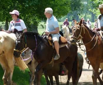 Private Gaucho Day Tour to an Argentinian Estancia