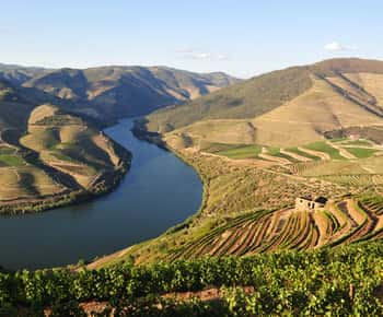 Régua to Pinhão Scenic Douro Cruise
