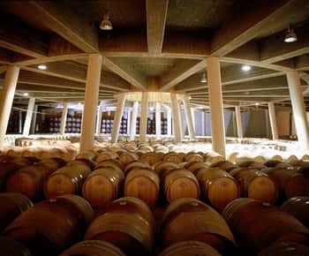 Álava: Viña Real Winery