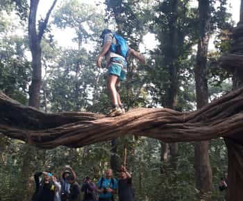 From Chitwan: Day Tour Jeep Safari+Canoeing+Jungle walk