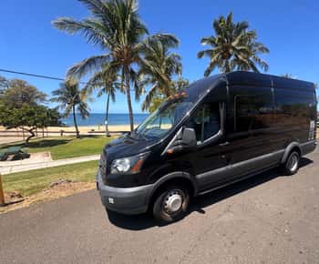 Big Island: Hilo to Kona Day Tour with Tastings