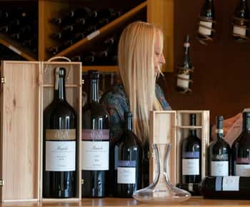 BAROLO: GUIDET OPLYSNING TIL VINKÆLDEREN OG VINSMAGNING MED PRODUCENTEN
