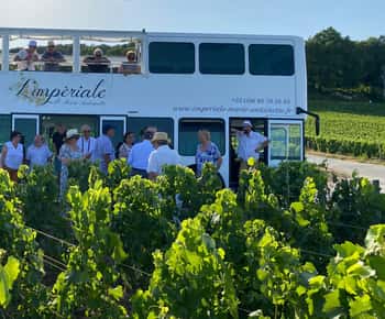 Еперне: приватна поїздка на імператорському автобусі через виноградники Шампані