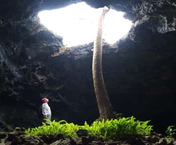 Visite privée : Le monde souterrain des grottes de Rapa Nui