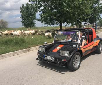 Buggy Safari " Discover Olympus " by Classic Buggy Rentals