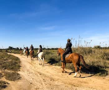 Sousse/Monastir : excursion privée à cheval avec transfert