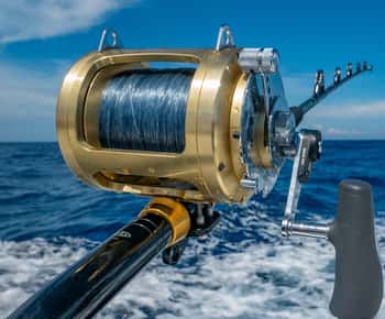 Experiência de pesca em alto mar de 4 horas a partir de punta cana