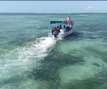 Diani Beach: Crociera in barca di vetro all'isola di Robinson