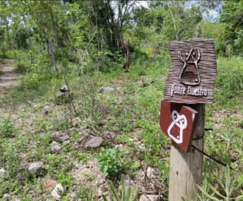 Bayahibe: National Park Jungle Walk & Snorkeling in Cenotes