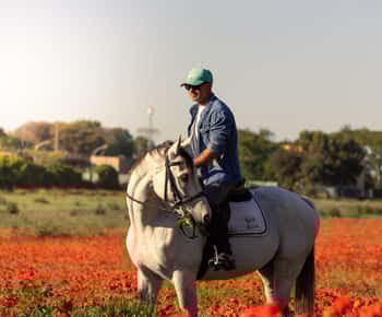Horse Sanctuary: Explore the Nature around Rome with Horses