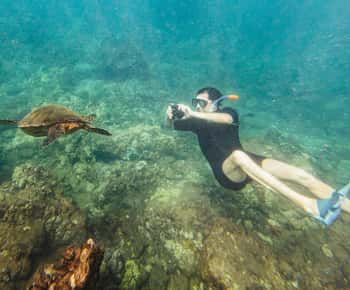 South Maui: Molokini & Turtle Town Snorkeling Tour with Meal