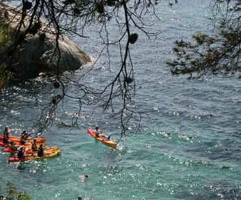 Playa de Aro, Costa Brava'da Kayık ve Şnorkel