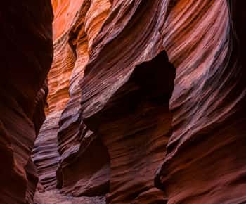 Página: Excursão a pé guiada pelo Mountain Sheep Slot Canyon