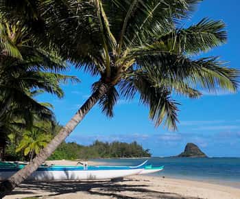 Oahu: Island-Customizable