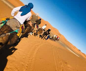 Von Marrakesch nach Merzouga: 3-tägige Dreams Tours & Luxury Camp