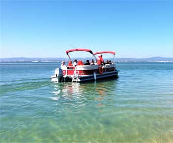 Faro: Tour en barco por las Islas Faro de Ria Formosa