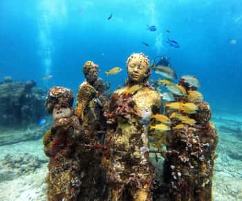Cancun: Musa Unterwassermuseum & Reef Discover Scuba Diving