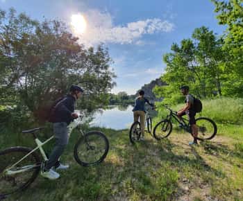Vallon-Pont-d'Arc: Electric Bike Wine Tour & Tasting