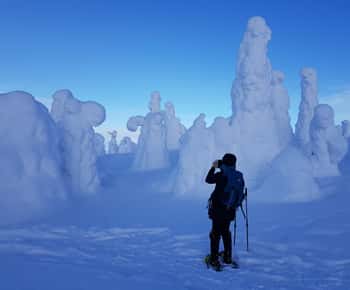 Schneeschuhabenteuer im Riisitunturi-Nationalpark