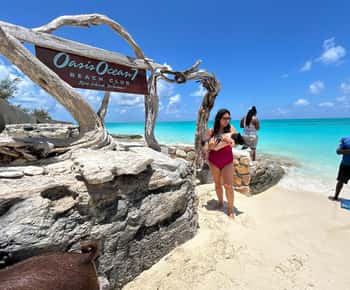 Nassau: Pigs, Snorkel, Turtles, Lunch, Private Beach Club