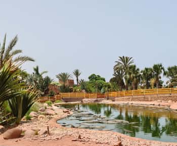 Agadir : billet d'entrée au Crocoparc avec transferts, guide et thé