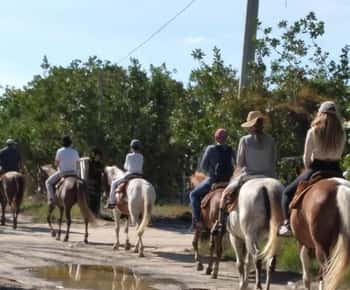Groepsrit te paard op het eiland Holbox, Quintana Roo