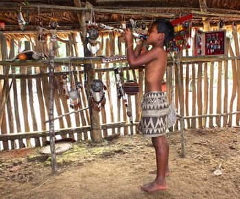 Vanuit Iquitos: 2-daagse jungle expeditie