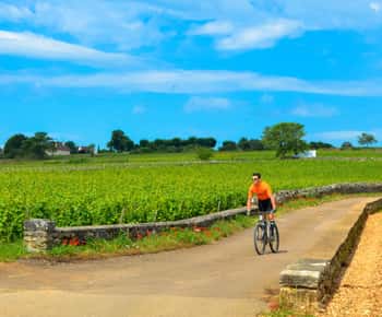 Beaune: Visita a Bodegas en Bicicleta con Degustación de Vinos