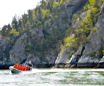 Skagway: Ocean Raft Adventure entlang der malerischen Küste