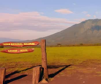 O autêntico pôr do sol do Parque Nacional de Baluran Banyuwangi