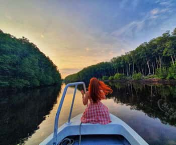 Sabah: Mangrove Fireflies, and Sky Mirror Dream Beach Tour