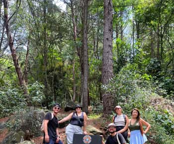 Medellin: Paths to Cerro El Picacho Hiking Tour with Picnic